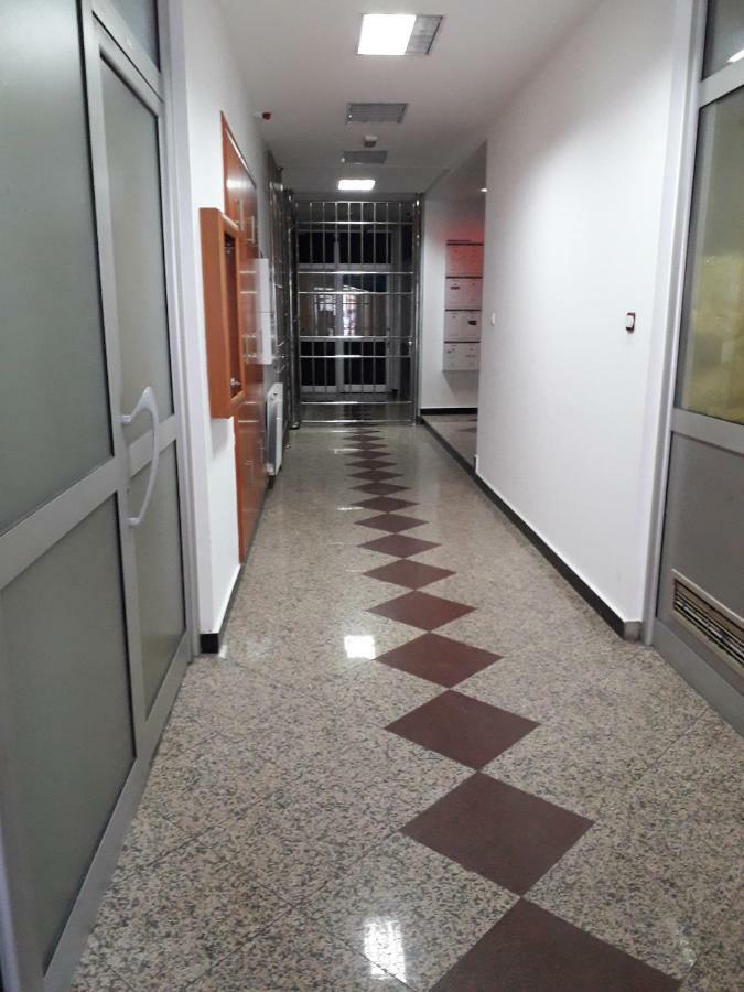 Apartman Dunja NS 2 Novi Sad Bagian luar foto